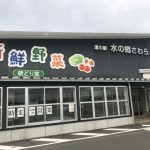 水郷佐原